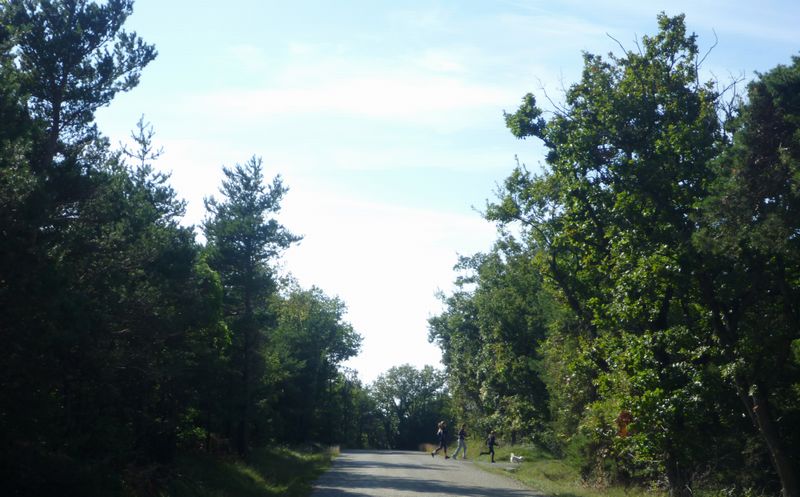 Bandes cyclables à la Sortie de montélimar sur la D 540