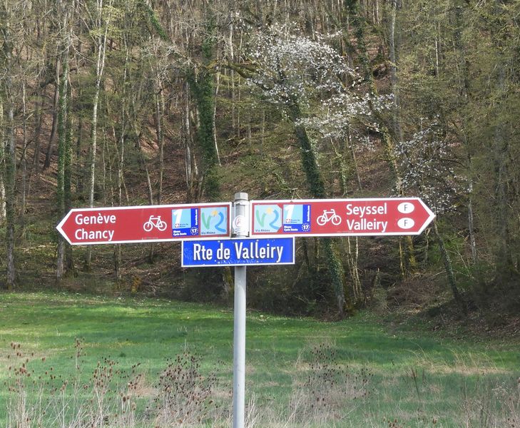 Départ de cette reconnaissance : Variante viarhôna ? : Chancy douane suisse