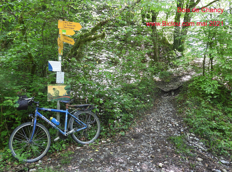Chancy ; Tentative accès par les chemins