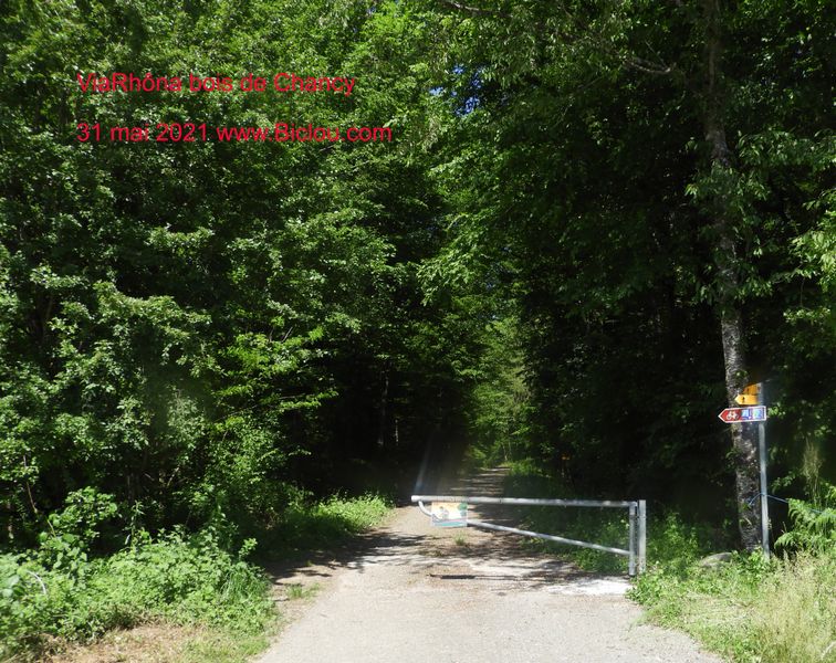 Balisage ViaRhôna et ca grimpe sur 800 m, rte état moyen goudron gros