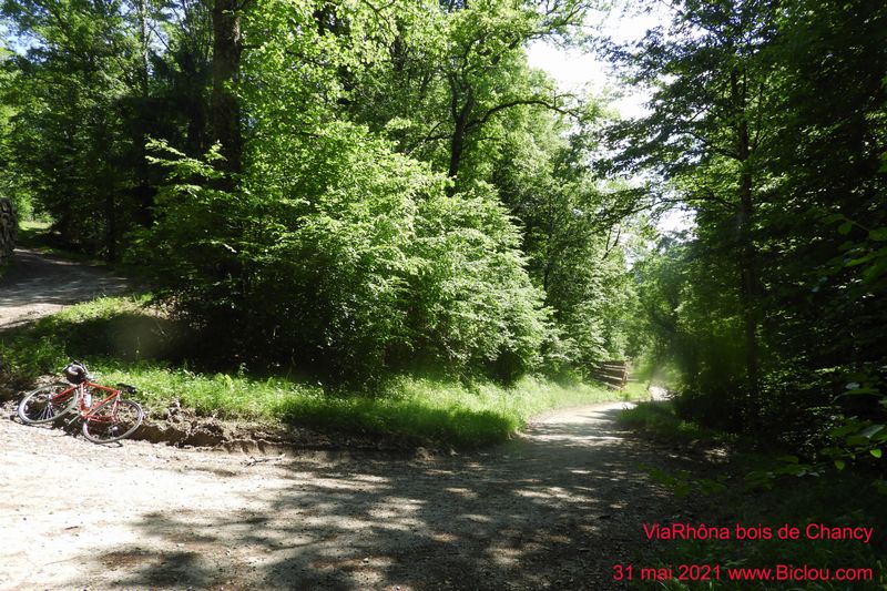 Attention, ça monte dans le bois de Fargout