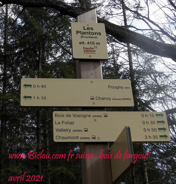 Les plantons : Sommet des bois de Fargout et Suisse-France