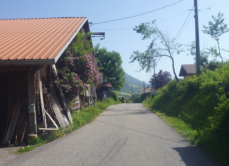 Sur la route de Glapigny (thônes)