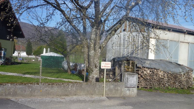 Vulbens : chemin de Moissey, ViaRhôna