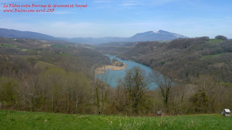 Le Rhône vu de la Rive droite du côté de Chanay Etranginaz (Ain)