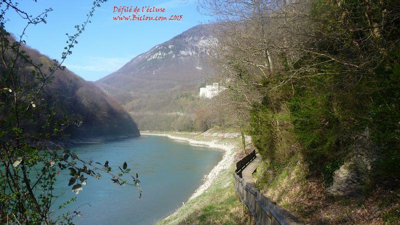 Les bords et berges du Rhône, dans le défilé de l'écluse sous le fort : avril 2015